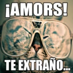 memes graciosos de amor android application logo